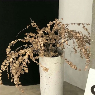 兽设暗黑风格设计兽圈群